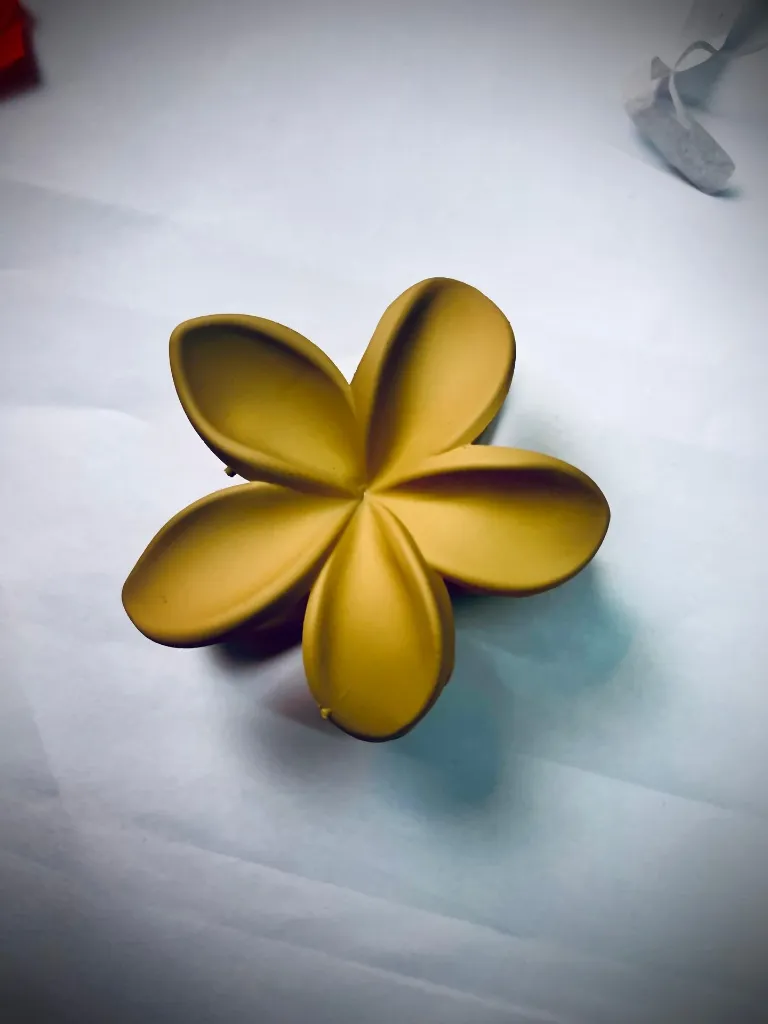 WhatsApp Image 2026-01-21 at 07.16.46 (2).webp